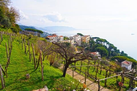 Wine Tour in Cilento with professional sommelier
