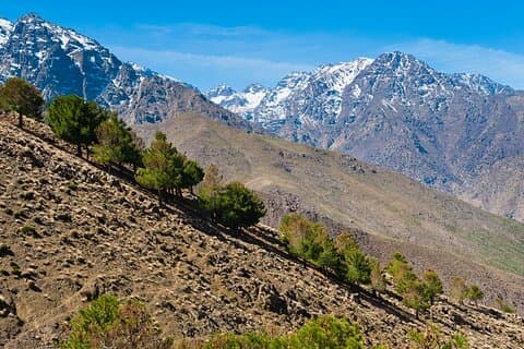 Tour di 5 giorni nell'Atlante e nel deserto: un'avventura autentica