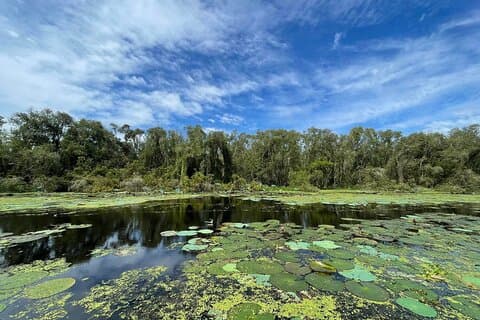 Excursión de 2 días de Ciudad Ho Chi Minh al Delta del Mekong con estadía en la selva