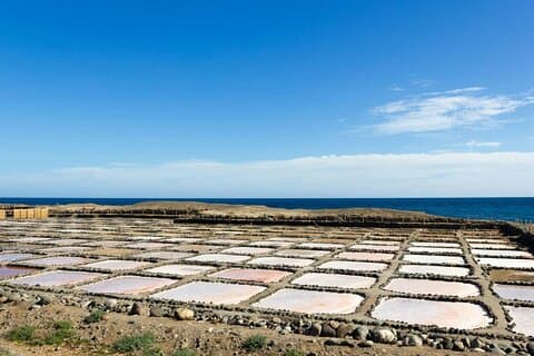 Saveurs Gran Canaria avec visite de distillerie et dégustations