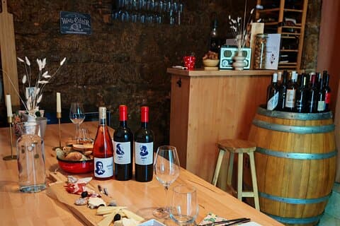 Split Wine Journey: An Introduction to Dalmatian Wines