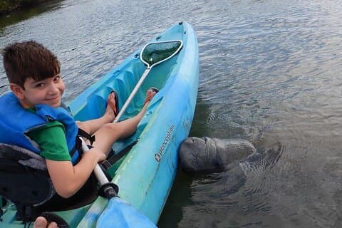 Lamantin et dauphin Kayak | Refuge faunique (Titusville)