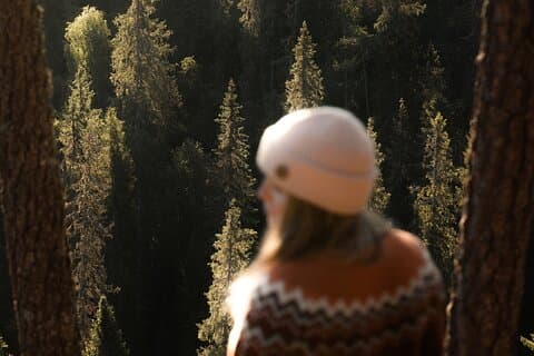 Rovaniemi : Insider Summer Korouoma Waterfalls（ロヴァニエミ：夏のコルオマの滝）