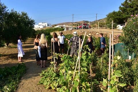 Naxos: Vinho privado três horas e meia experiência