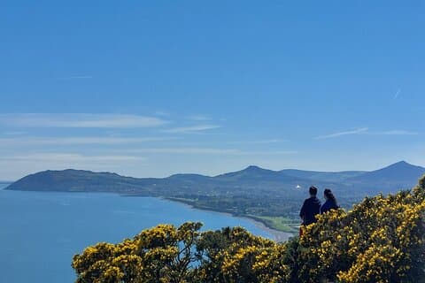 Dublin Private Stadt Highlights und Vororte Tour