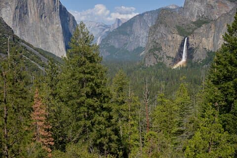 2 Day Private Tour to Yosemite National Park