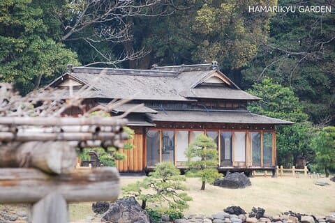 Anywhere you Like Tokyo Customized Tour in 5 hours