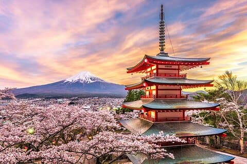 Kawaguchiko & Fuji Dagtour : Seizoensbloem met Kusa Mochi