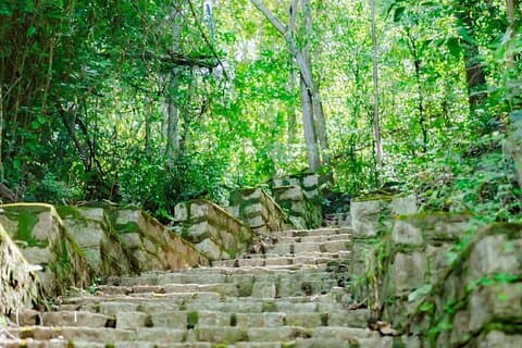 Can Gio Mangrove Forest, Thanh An Island, Vung Tau 2 Days Tour
