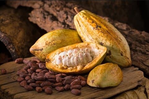La Candelaria e Degustazione di Cioccolato