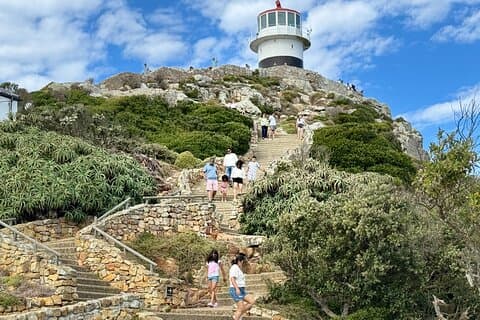 Kaapse Schiereiland Kaap de Goede Hoop en Pinguïntour in Kaapstad
