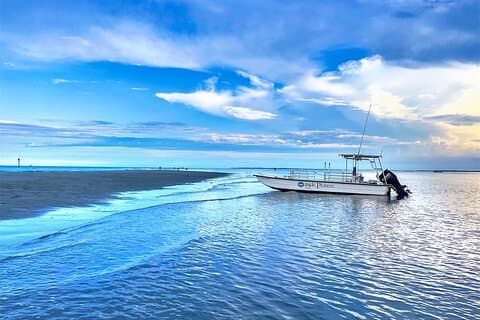 Hilton Head Vanishing Island & Beachcombing Cruise