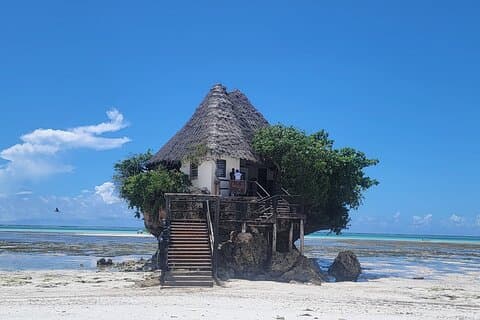 Restaurantes em Jozani Forest Kuza Cave Paje Beach and the Rock