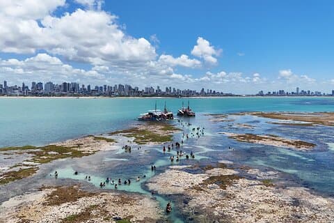 Picãozinho Naturlige Pools - Emb. Pirat