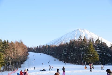 Mt Fuji Ski Resort Tour from Tokyo by Private Vehicle