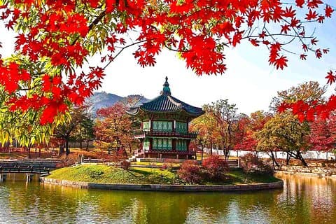 Customized 5 Days South Korea Jeju Tour with Private Car