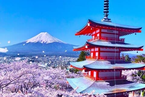 Mt Fuji Day Tour: Chureito Pagoda, Lake Kawaguchi & Oshino Hakkai