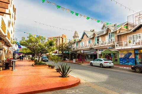 Best Sites: Blowhole+ City Tour, Tacos Custom Shore Excurison