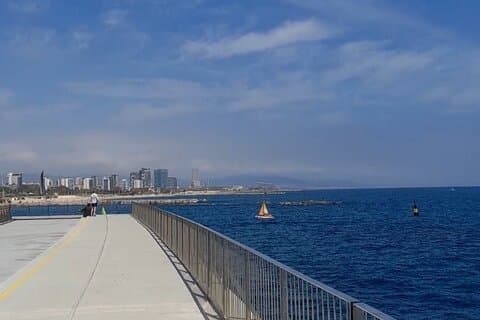 Tour privado personalizable con tu amigo local en Barcelona