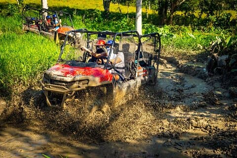 Jungle Buggies och Monkeyland från Punta Cana
