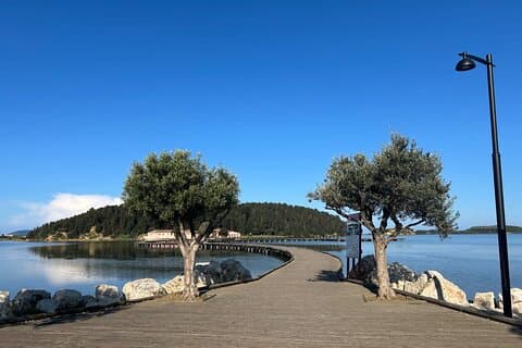 From Vlora : Zvernec, Apollonia and Berat Day Trip Experience