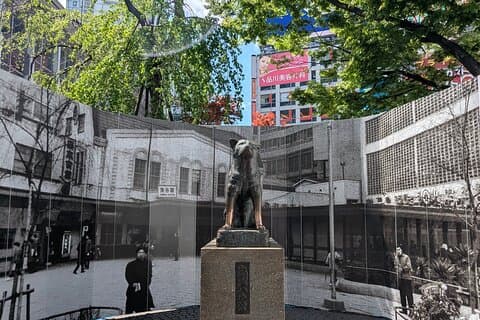 Shibuya destaca Hachiko Scramble Meiji Jingu y Sky