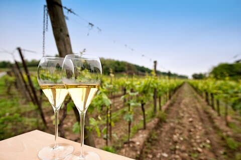 Franciacorta Weinverkostungstour von Mailand mit Iseo-Seekreuzfahrt