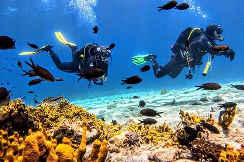 PADI Discover Scuba Diving for Beginners at Ouranoupoli|Chalkidiki|Greece