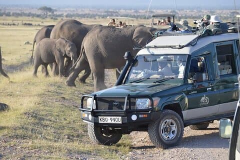 3 - Journée à la découverte des géants et des couchers de soleil dorés à Amboseli