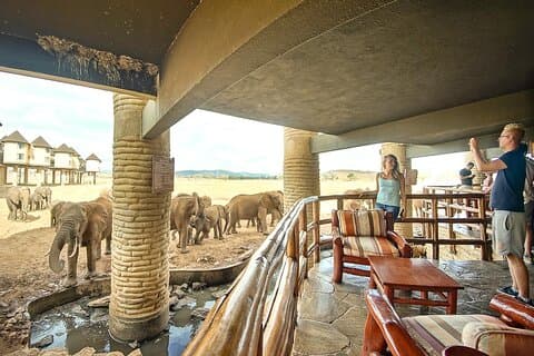 3 Dias Saltlick e Tsavo West Luxury Safari saindo de Nairobi