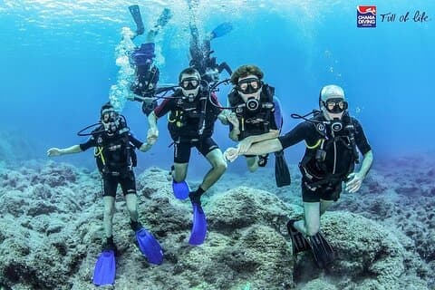 Crete-Chania: Snorkeling & Scuba Dive by boat with Free Transfer!
