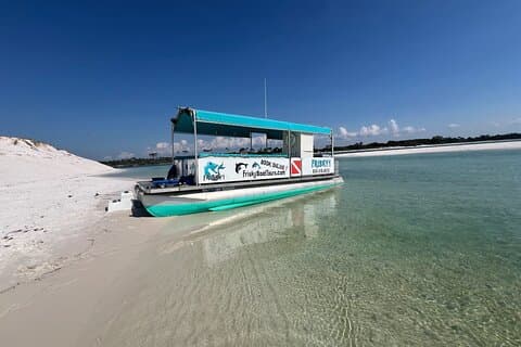 Pensacola Beach Dolphin Cruise + Beach Stop + Snorkeling