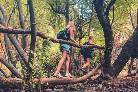 Punta Cana : Los Haitises Wandelen & Kajakken Mangroves