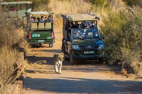 3-dages fælles bustur i Pilanesberg Nationalpark