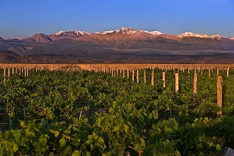 3 - Día Mendoza Vino y Montañas