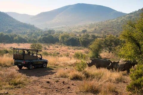 2 Tage Pilanesberg Safari in der Bakubung Lodge