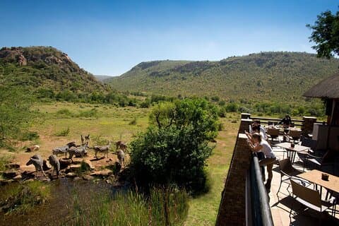 4 Day Pilanesberg Safari at Kwa Maritane Lodge