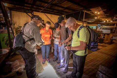 Forfait saisonnier 3 activités à Tortuguero avec petit-déjeuner