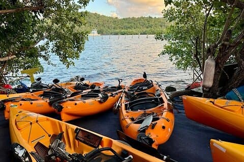 Guided Kayak Tour of Salt River Bay Ecology and History