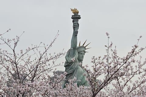 Customizable Private Tokyo Trip with an English Speaking Driver