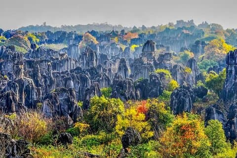 All Inclusive Kunming Tour to Stone Forest,Flower and Bird Market
