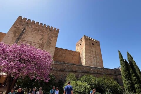 Visita guiada a la Alhambra