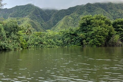 Kayaking Rainforest River on Oahu, Kahana River (Tour Autoguiado)