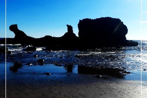 TRANSFER TO PLAYA EL TUNCO