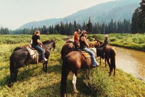 Passeggiate guidate a cavallo