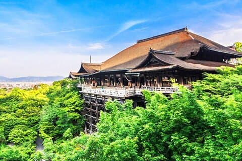 Kiyomizu Temple, Fushimi Inari Taisha: Excursão de um dia em Kyoto e Nara Park
