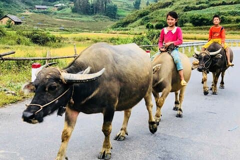 3-dagers Bac Ha og Ban Phung motorsykkel tur fra Sapa