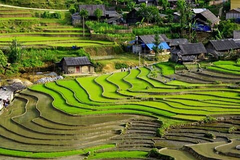 Hidden Sapa : Trekking panorámico por terrazas de arroz, valles, pueblos