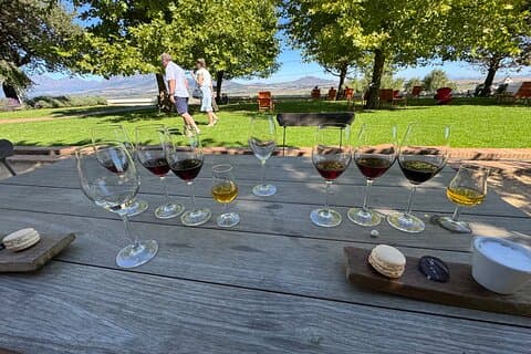 Full dagstur til vingårdene Stellenbosch, Franschhoek og Paarl