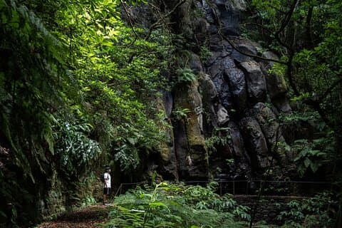 Levada do Caldeirão Verde självguidad vandring på Madeira